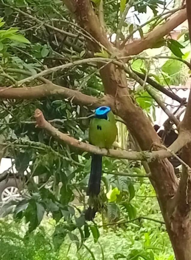 Bird House - Apartament ハルディン エクステリア 写真