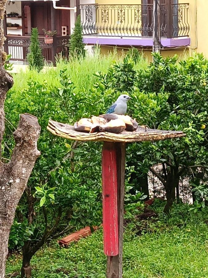 Bird House - Apartament ハルディン エクステリア 写真