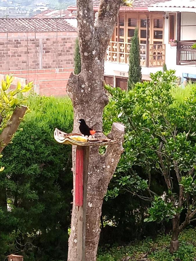 Bird House - Apartament ハルディン エクステリア 写真