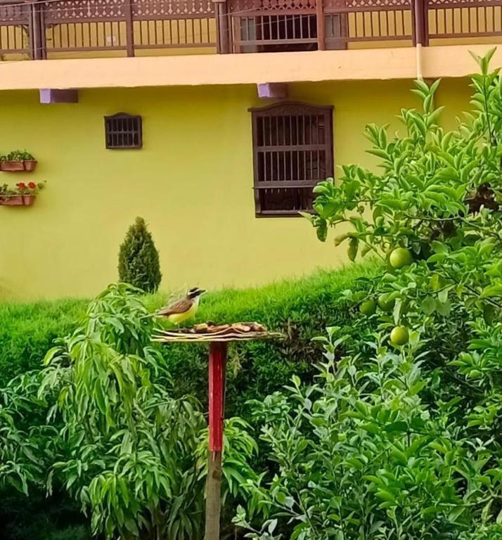 Bird House - Apartament ハルディン エクステリア 写真