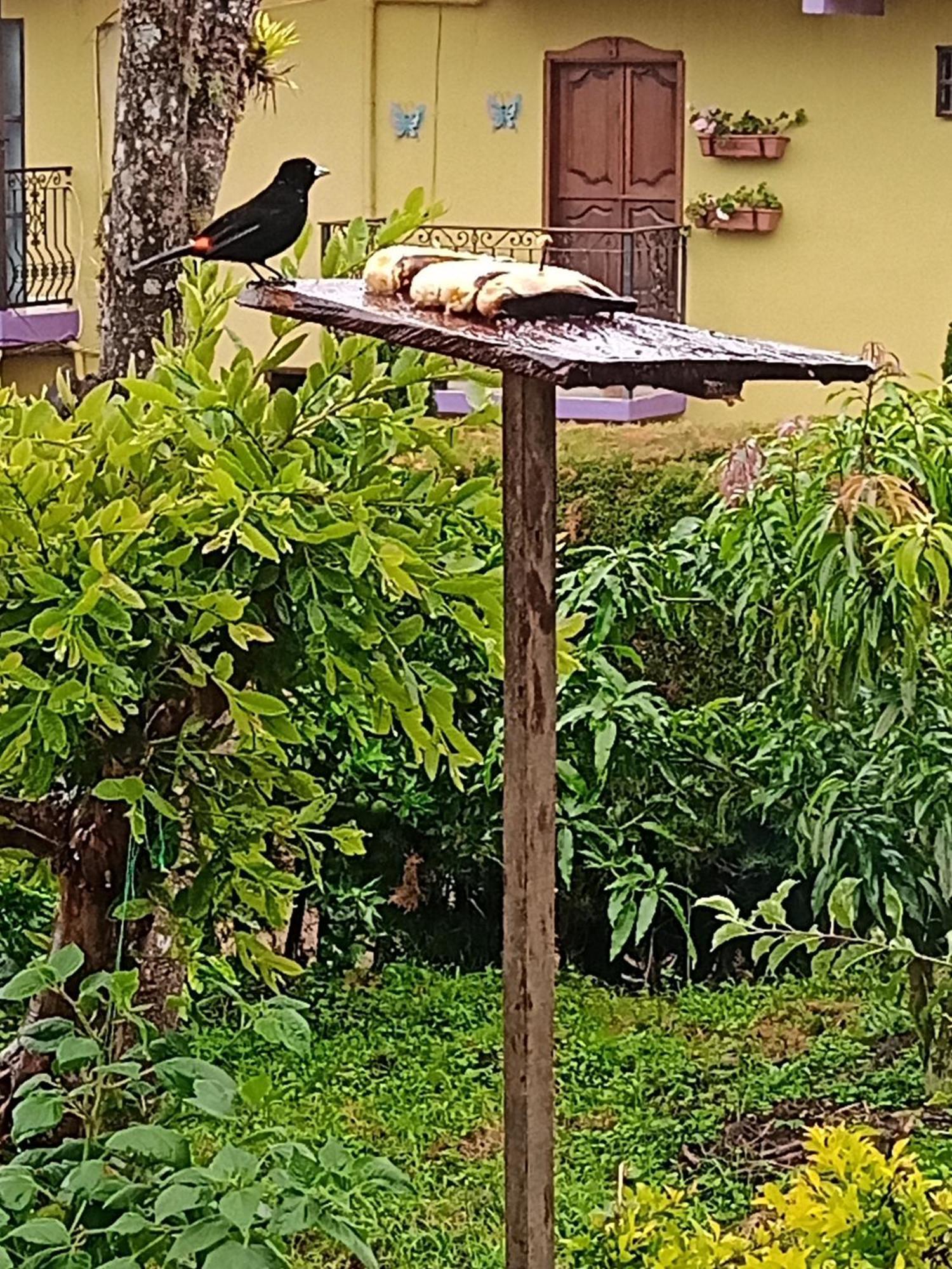 Bird House - Apartament ハルディン エクステリア 写真